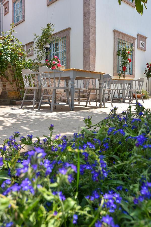 Lunaria Guest House Ayvalı Eksteriør bilde